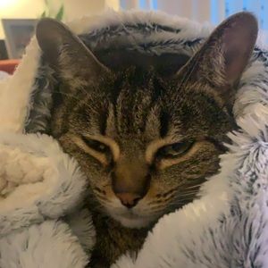 Meet your Posher, Grace